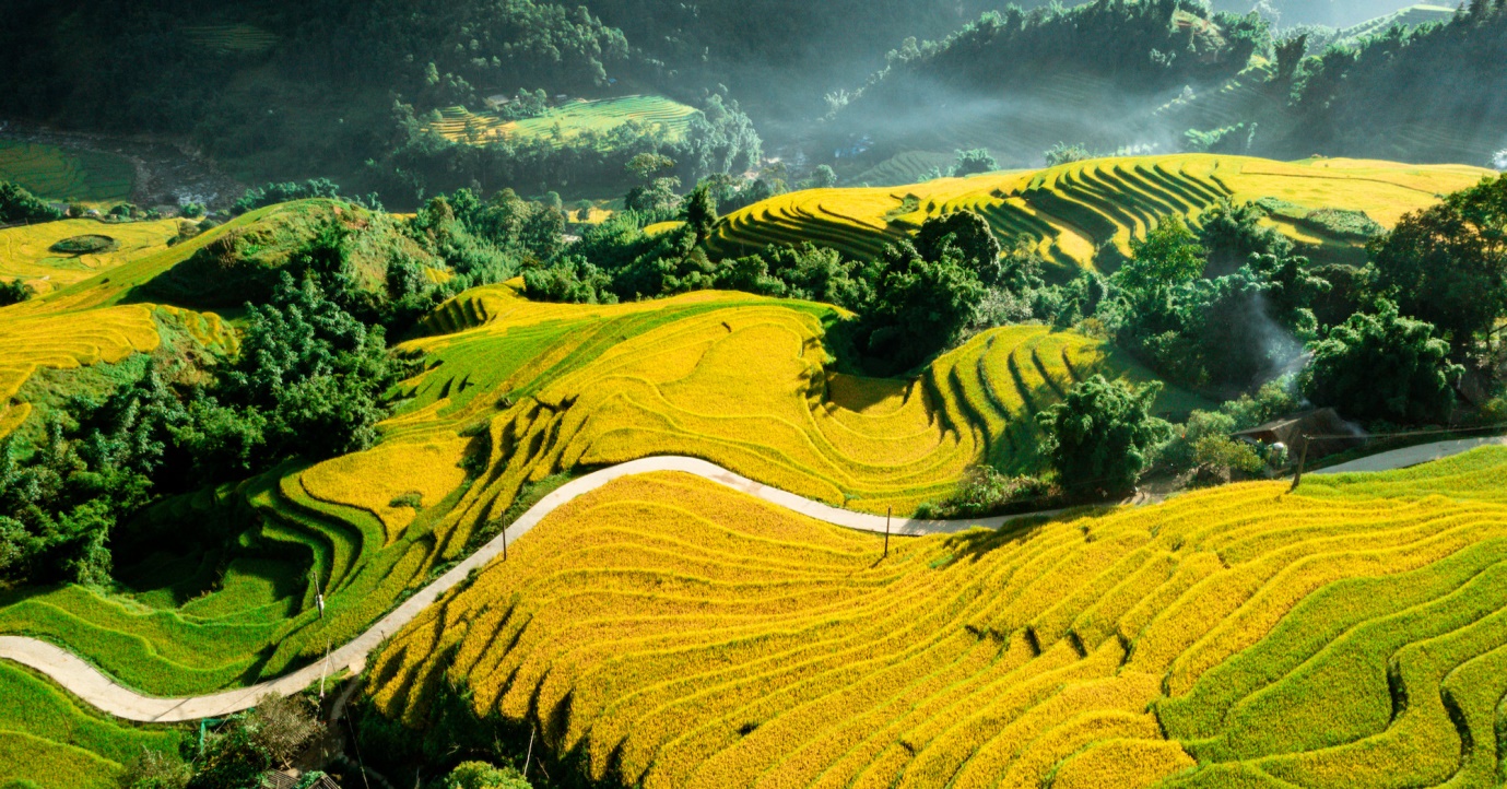 CÔNG TY TNHH THƯƠNG MẠI DỊCH VỤ DU LỊCH VẬN TẢI SAO VIỆT