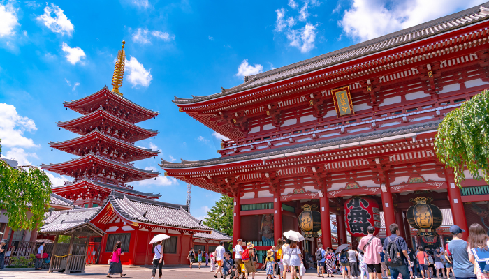 CÔNG TY TNHH THƯƠNG MẠI DỊCH VỤ DU LỊCH VẬN TẢI SAO VIỆT